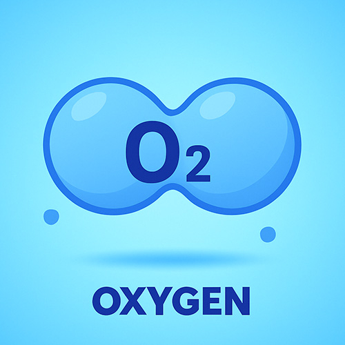 chatgpt 이미지 2025 年 4 月 21日 15_48_29